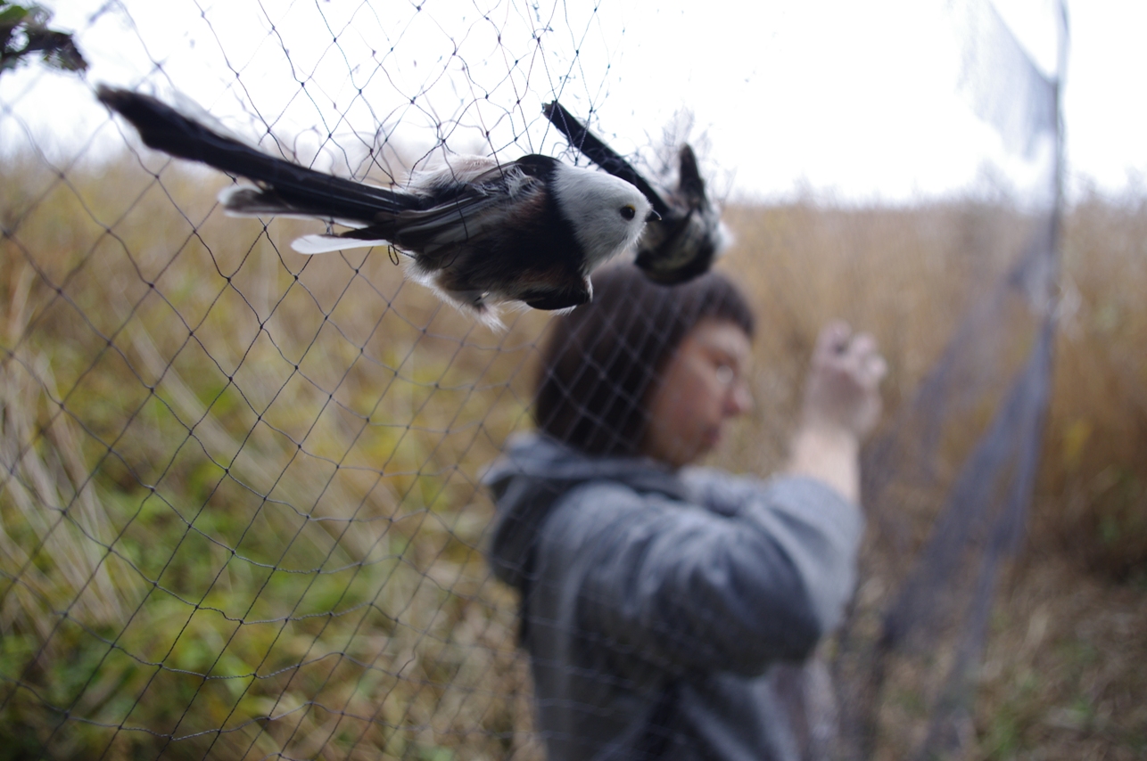 akcja-ba-tycka-aktualno-ci